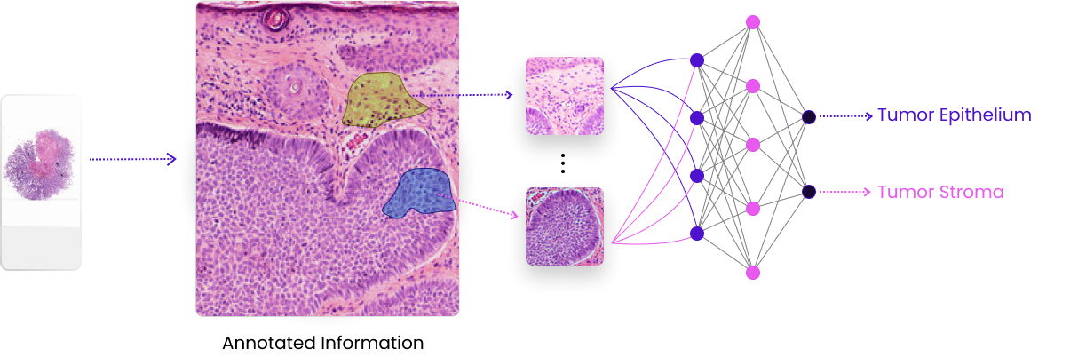 aboutComputationalDeepLearning